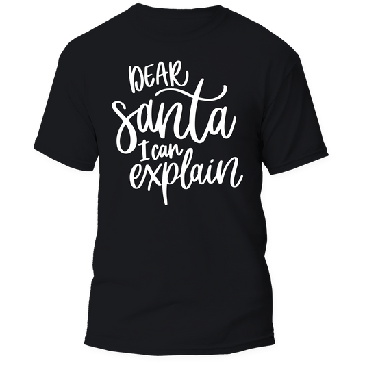 Dear Santa, I Can Explain T-Shirt